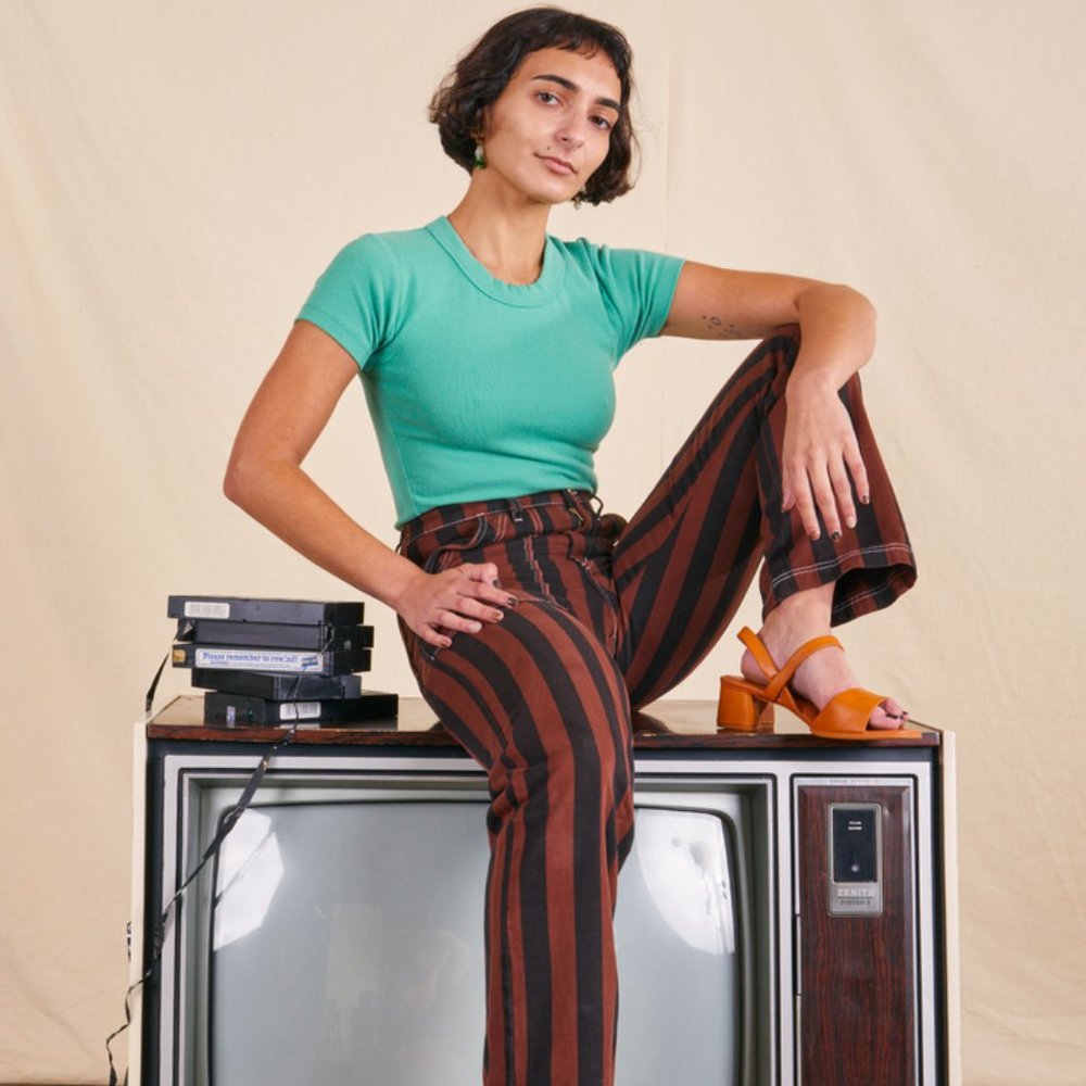 Big Bud Press Striped Work Pants in Fudgesicle Brown
